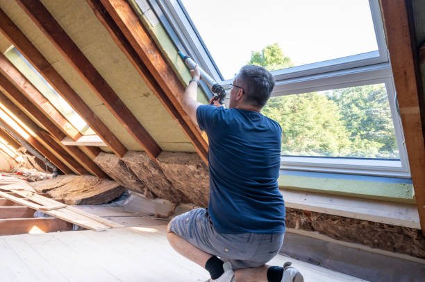 Windows with Built-In Blinds